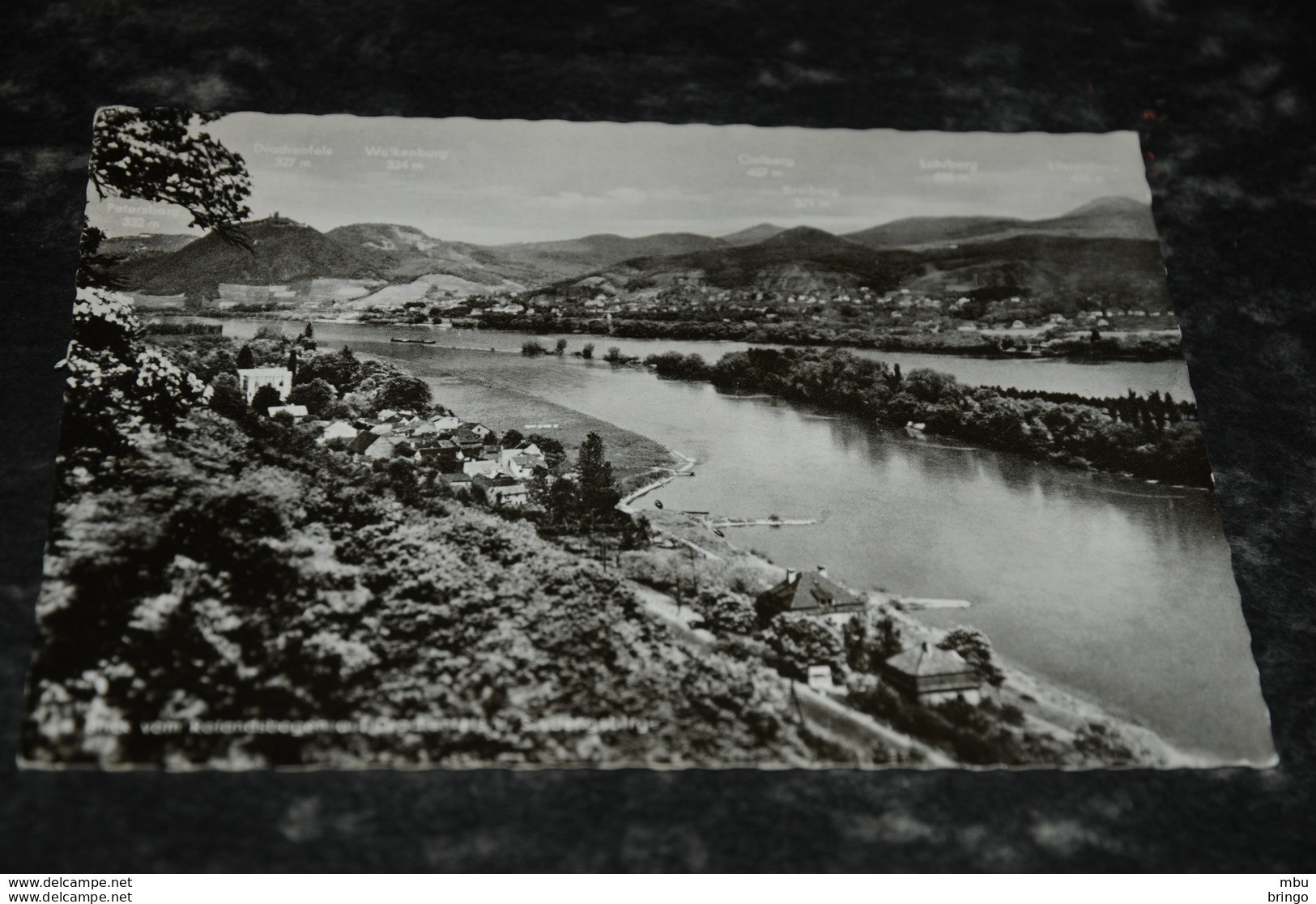 A8482      BLICK VOM ROLANDSBOGEN AUF DRACHENFELS - Remagen