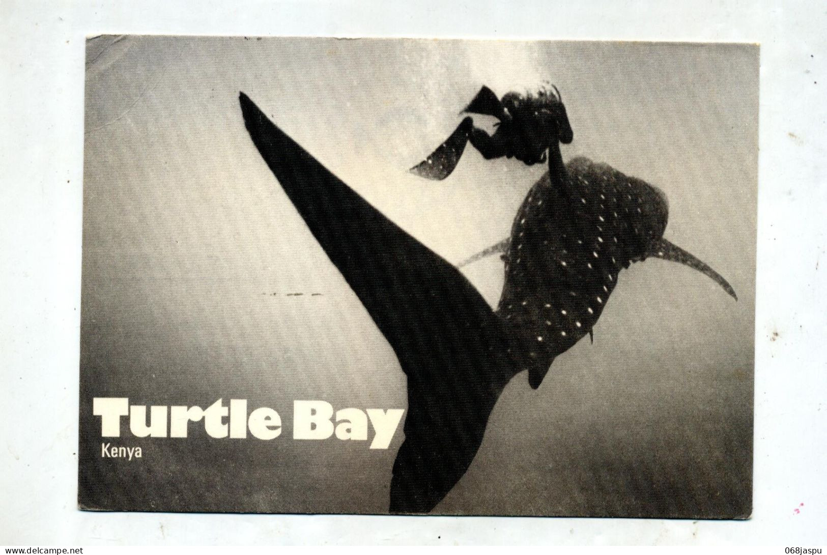 Carte  Plongee Turtle Bay Cachet Sur Amthyste Kyanite - Kenya