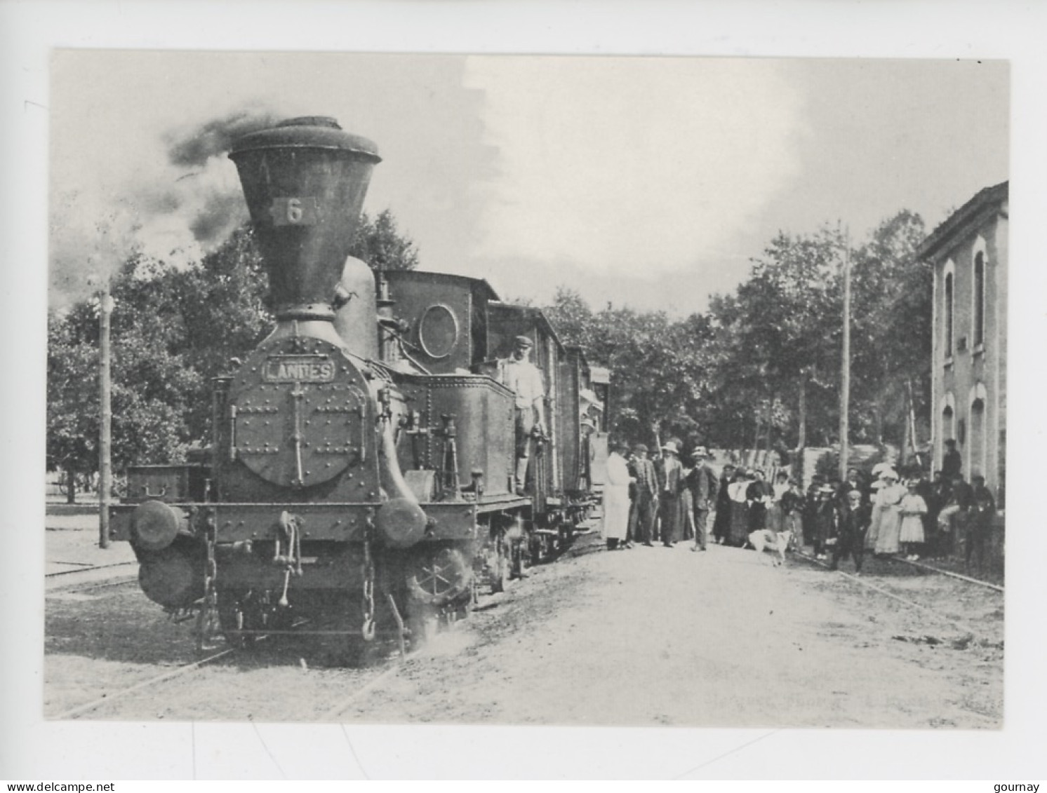 Sabres, La Gare De Sabres Vers 1900 (train Locomotive) Asso Amis Chemins De Fer Parc Landes De Gascogne (rééd Cp Vierge) - Sabres