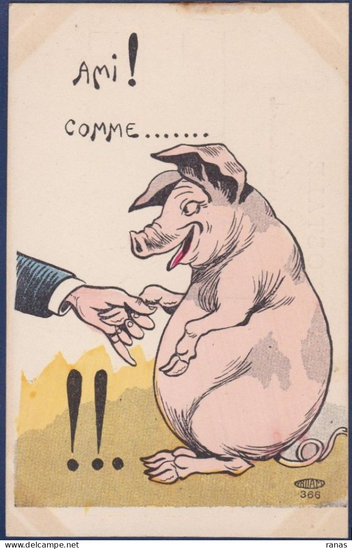 CPA Cochon Pig Position Humaine écrite - Maiali