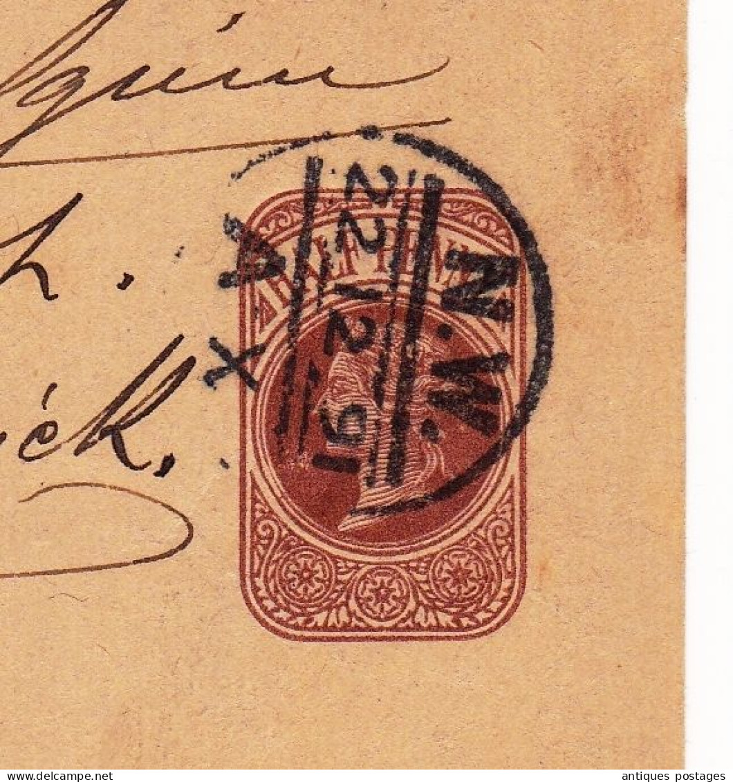 Great Britain 1891 Victoria Half Penny Newspaper Wrapper Belgium - Interi Postali