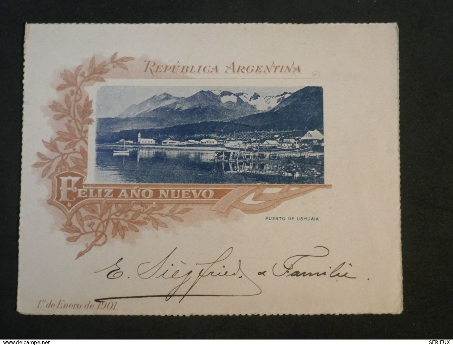 DE9 ARGENTINA    BELLE  CARTE  ENTIER 1902 BUENOS AIRES + FELIZ ANO NUEVO   +AFFR.PLAISANT+++ - Storia Postale