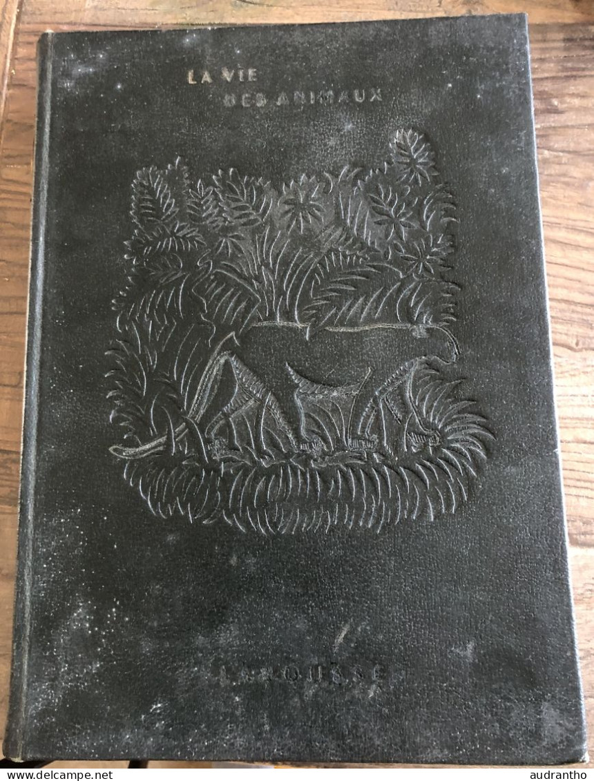 LA VIE DES ANIMAUX Par L. Bertin Professeur Musée Histoire Naturelle Tome 2 Larousse 1952 -  930 Gravures 8 En Couleur - Encyclopaedia