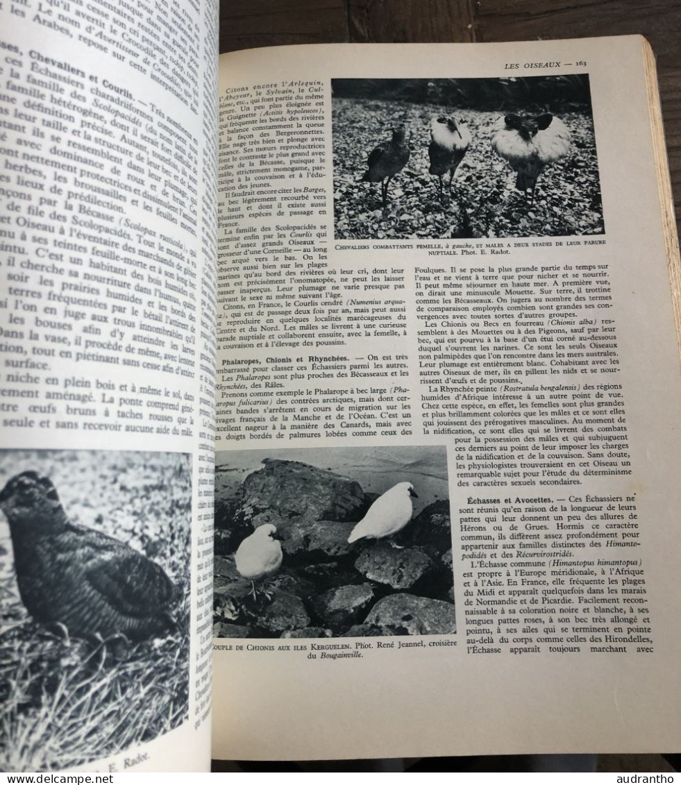 LA VIE DES ANIMAUX par L. Bertin professeur musée histoire naturelle Tome 2 Larousse 1952 -  930 gravures 8 en couleur