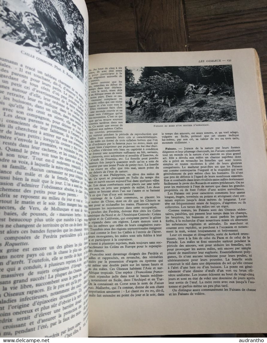 LA VIE DES ANIMAUX par L. Bertin professeur musée histoire naturelle Tome 2 Larousse 1952 -  930 gravures 8 en couleur