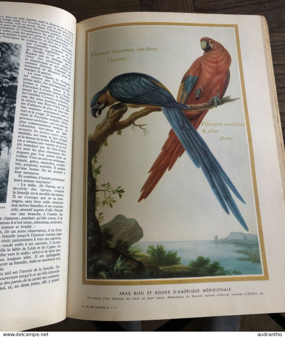 LA VIE DES ANIMAUX par L. Bertin professeur musée histoire naturelle Tome 2 Larousse 1952 -  930 gravures 8 en couleur