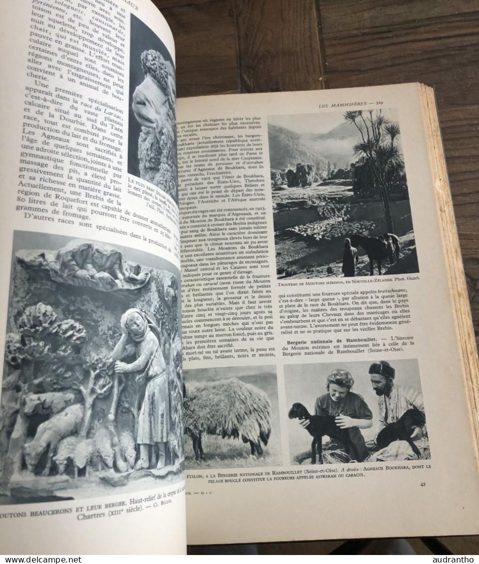 LA VIE DES ANIMAUX par L. Bertin professeur musée histoire naturelle Tome 2 Larousse 1952 -  930 gravures 8 en couleur
