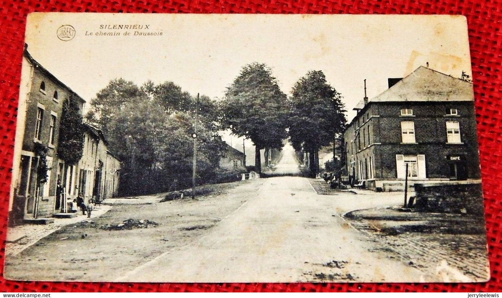 SILENRIEUX  -  Le Chemin De Daussois - Cerfontaine