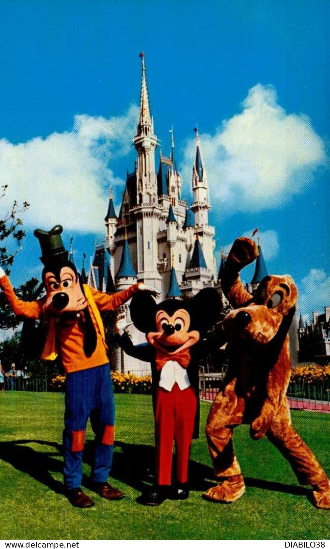 WALT DISNEY WORLD _  MICKEY AND PALS WELCOME GUESTS TO FANTASYLAND - Disneyworld