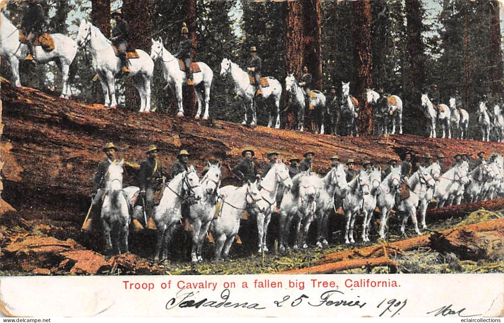 U.S.A  .   California     Troupe De Cavalerie        (voir Scan) - Sonstige & Ohne Zuordnung