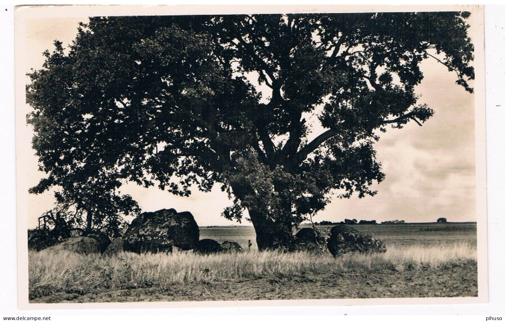 HUN-97  EMMEN : Hunnebed / Dolmen - Dolmen & Menhire