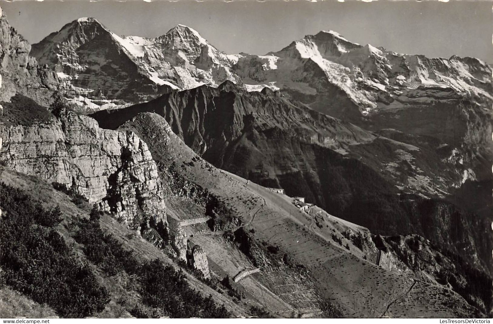 SUISSE - Bern - Schynige Platte : Eiger, Mönch, Jungfrau - Carte Postale Ancienne - Berna