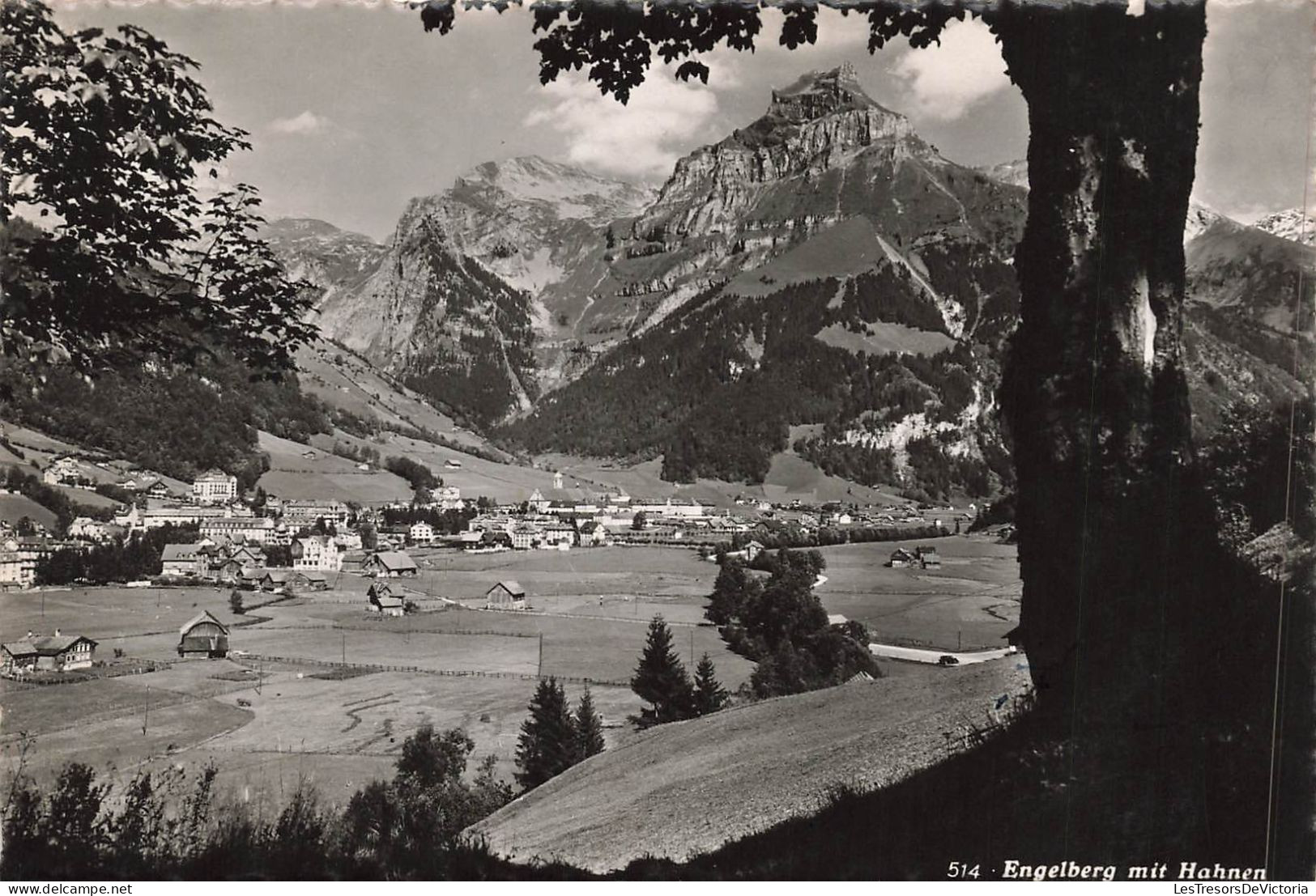 SUISSE - Engelberg Mit Hahnen - Carte Postale Ancienne - Other & Unclassified