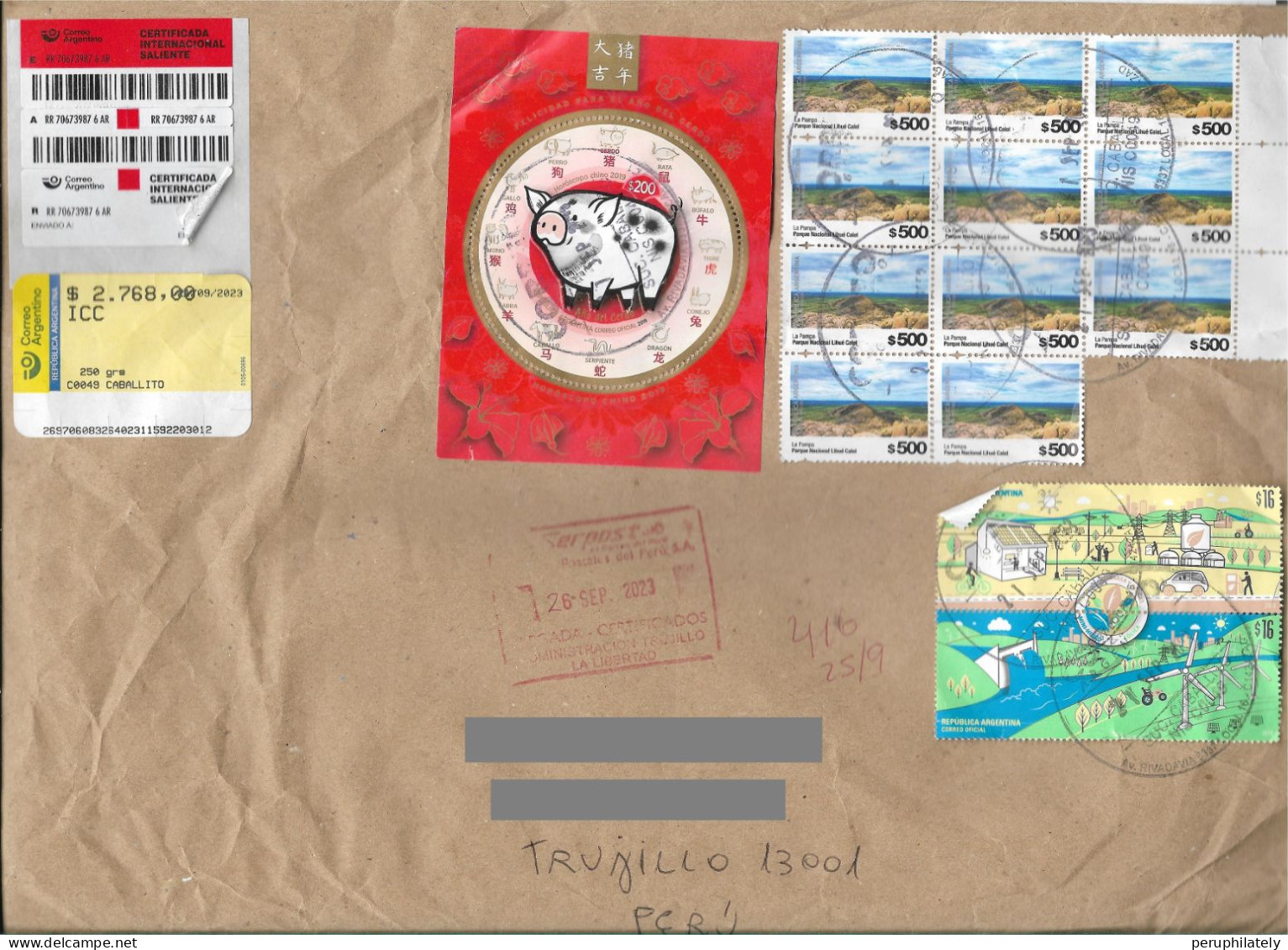 Argentina Jumbo Registered Cover With Recent Year Of The Pig , Energy And Pampa Park Stamps Sent To Peru - Usati