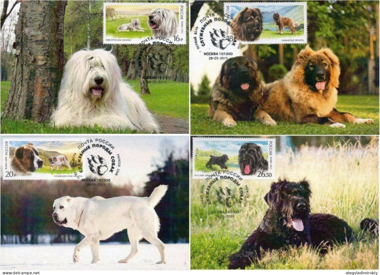 Russia Russland Russie 2015 Fauna Service Dogs Breeds Set Of 4 Maxicards - Maximumkaarten