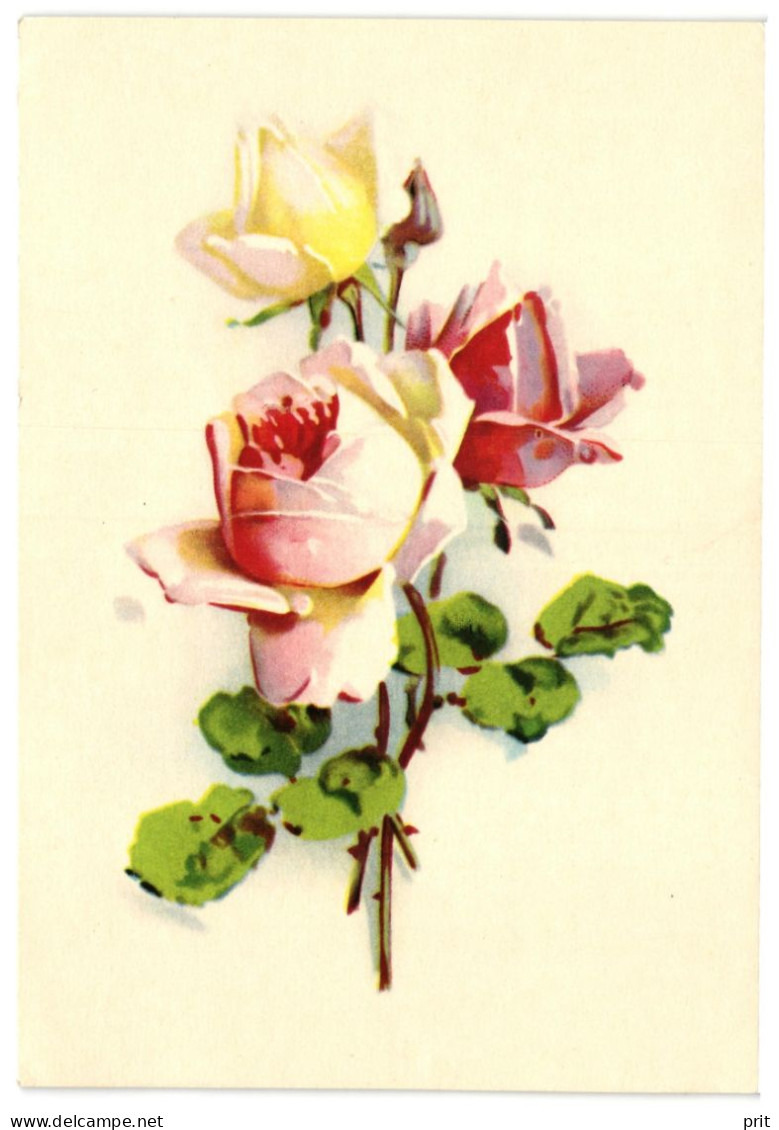 Roses 1970 Unused Vintage Postcard. Publisher: Oktoober, Tallinn, Soviet Estonia USSR - Estonie