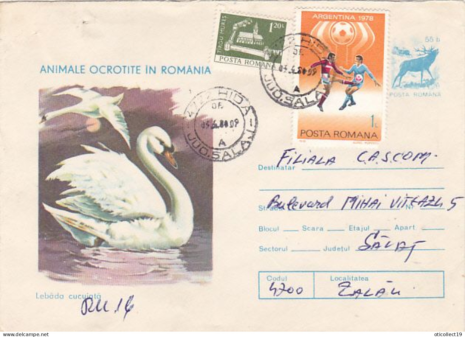 ANIMALS, BIRDS, MUTE SWAN, REGISTERED COVER STATIONERY, FINE STAMPS, 1977, ROMANIA - Cigni