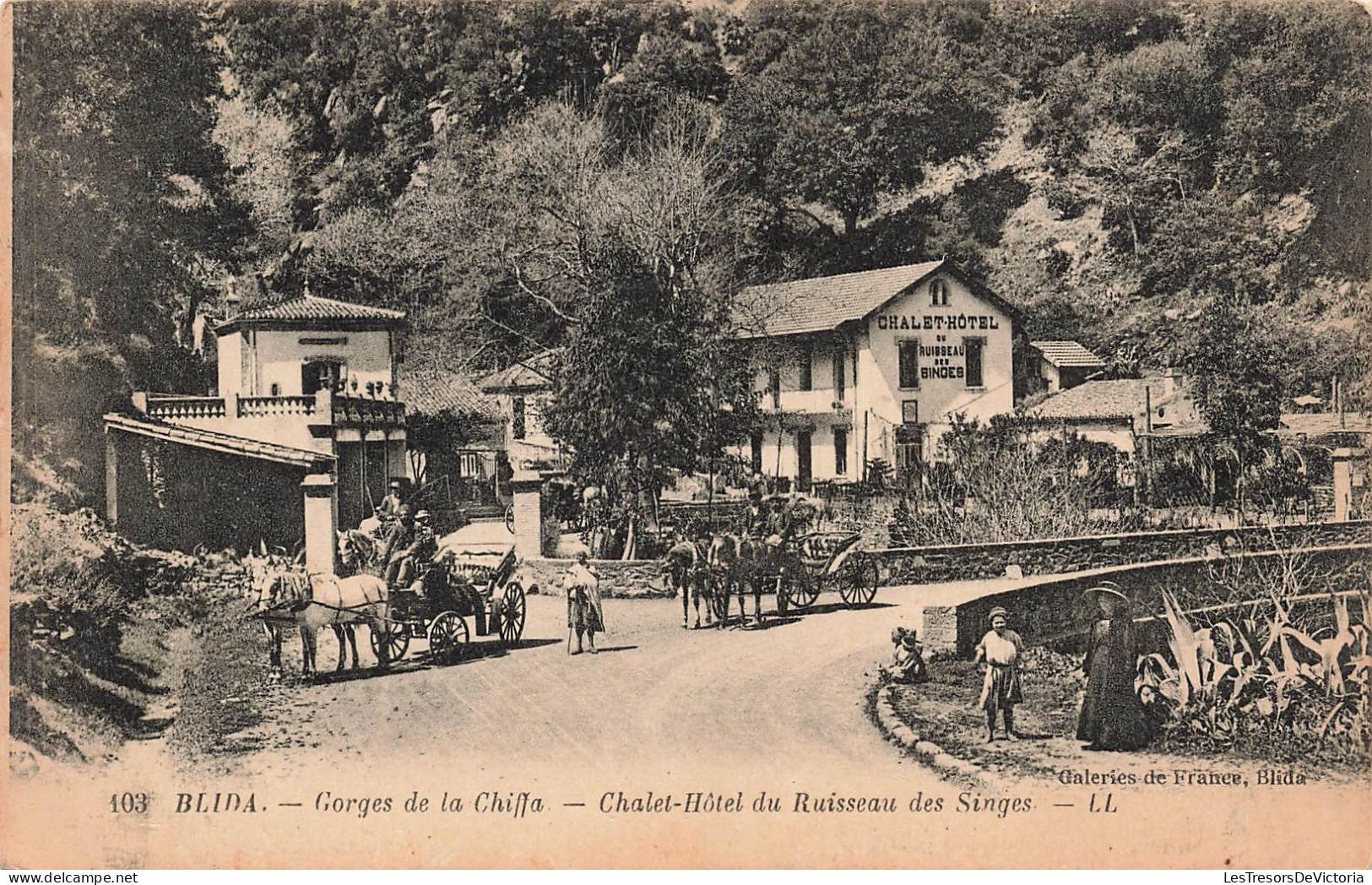 ALGÉRIE - Blida - Gorges De La Chiffa - Chalet-hôtel Du Ruisseau Des Singes - Carte Postale Ancienne - Blida