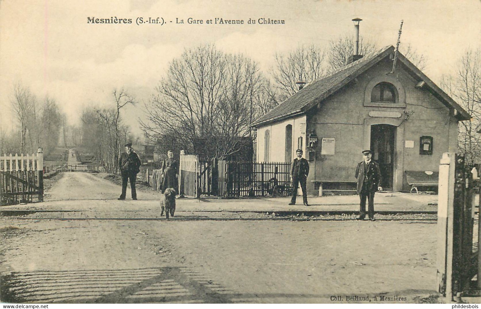 SEINE MARITIME  MESNIERES   La Gare Et Avenue Du Chateau - Mesnières-en-Bray