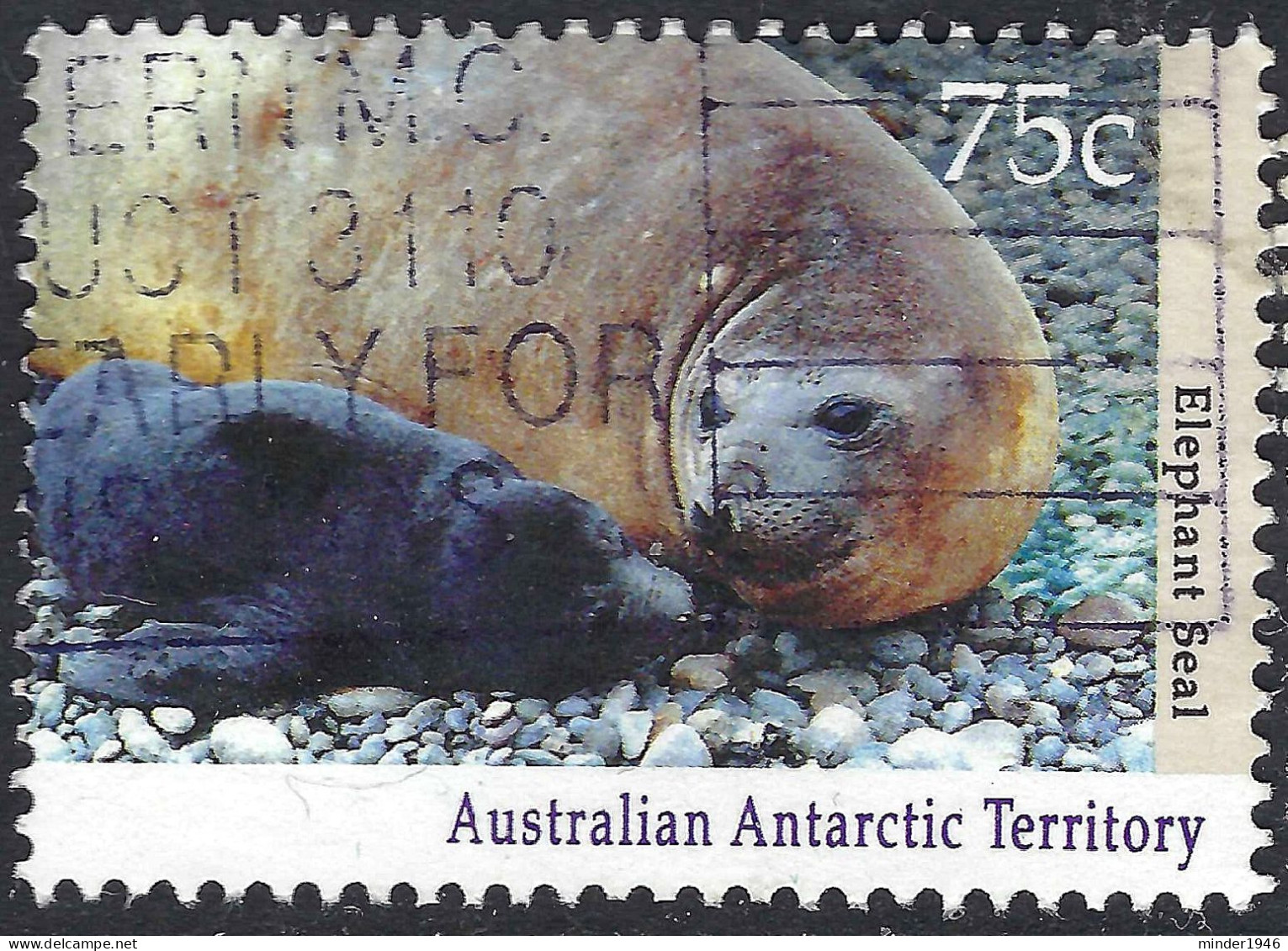 AUSTRALIAN ANTARCTIC TERRITORY (AAT) 1992 QEII 75c Multicoloured, Wildlife-Elephant Seal SG91 FU - Used Stamps