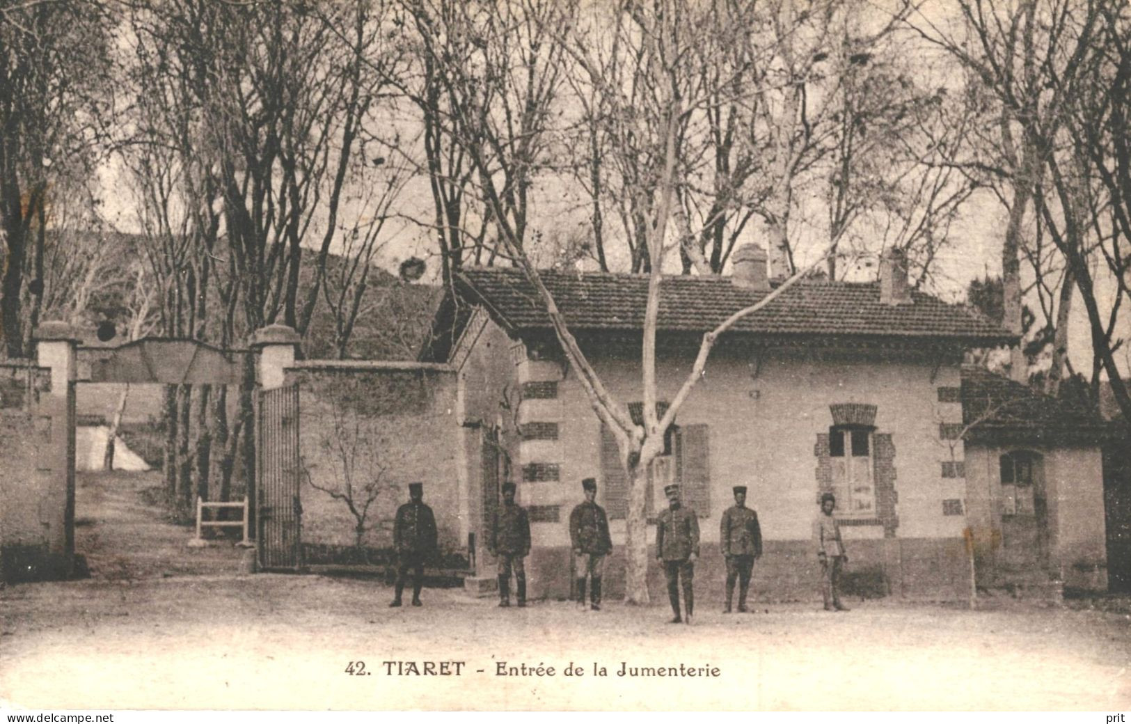 Entrée De La Jumenterie Tiaret Algeria 1910s Grand Bazar Pub Cash Note. Rare Real Photo Postcard. Publ: Gauthier, Tiaret - Tiaret