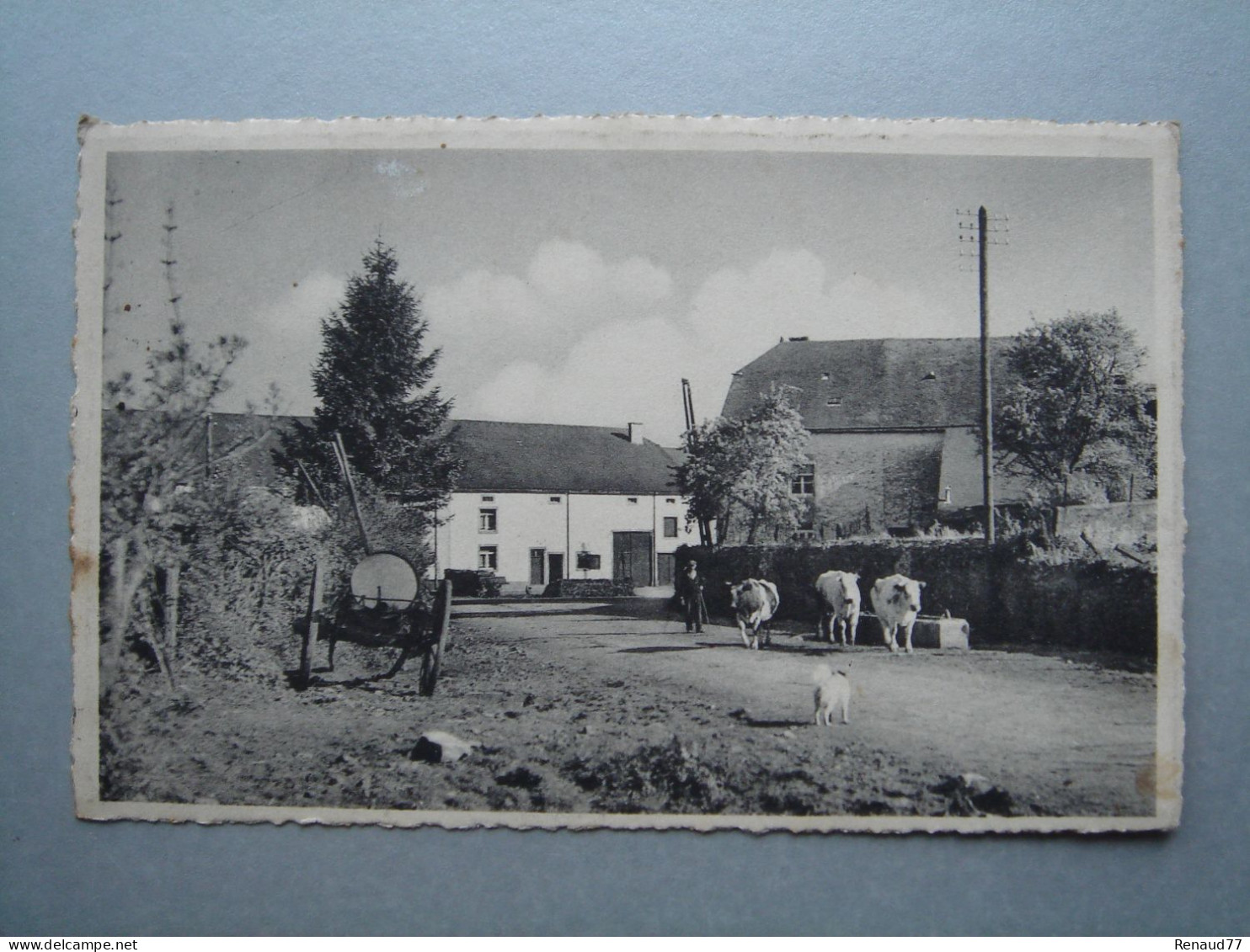 Laiches Chassepierre - Abreuvoir à Laiches - Chassepierre