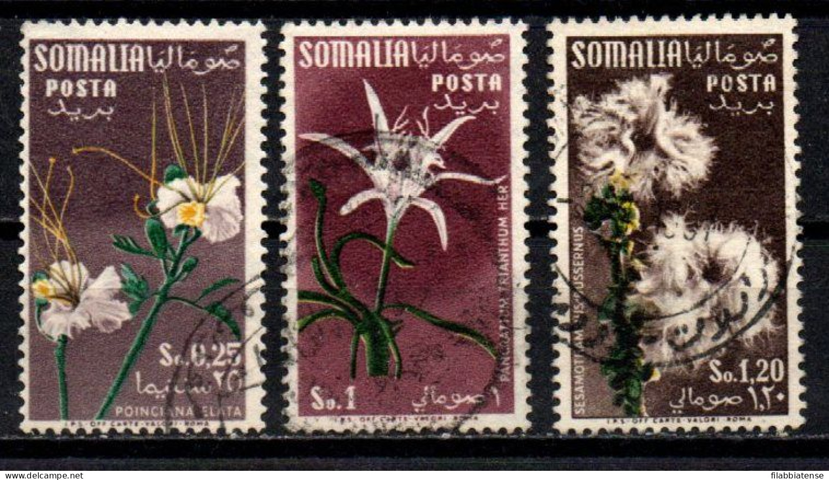 1955 - Italia - Somalia AFIS 30 + 32/33 Fiori   ------- - Somalie (AFIS)