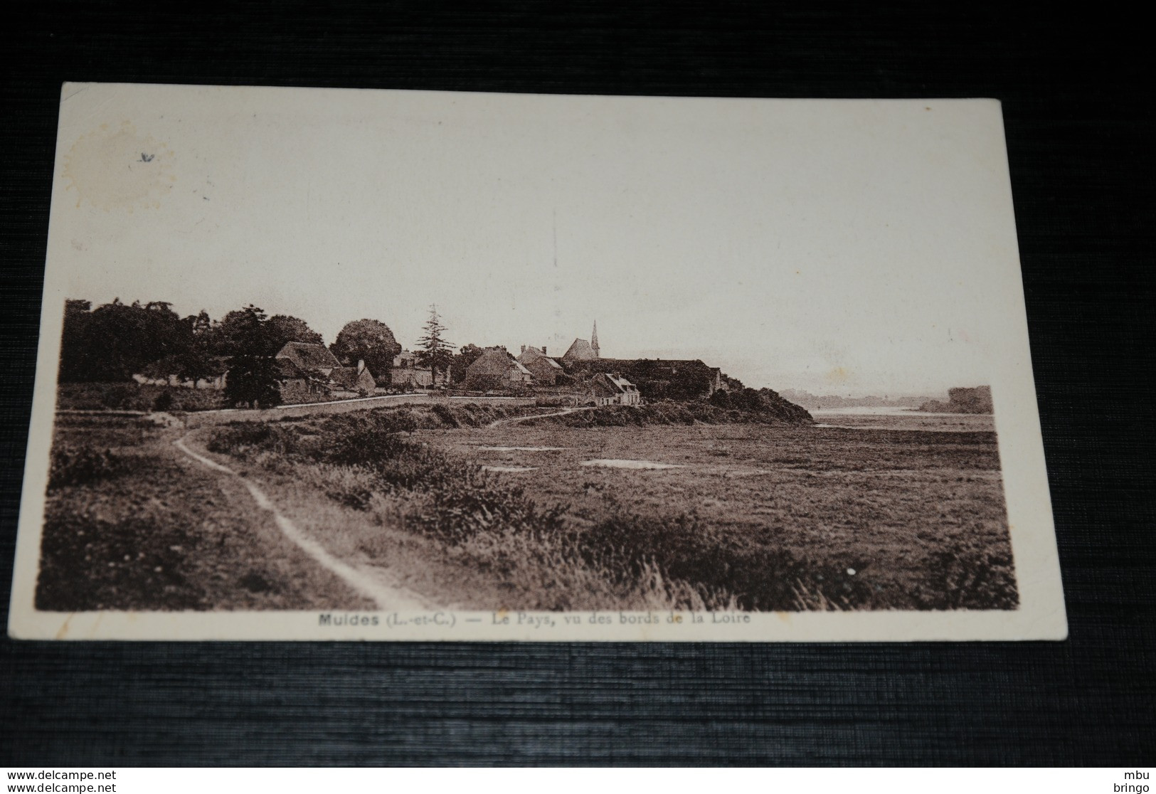 A8906      MUIDES, LE PAYS, VU DES BORDS DE LA LOIRE - Altri & Non Classificati