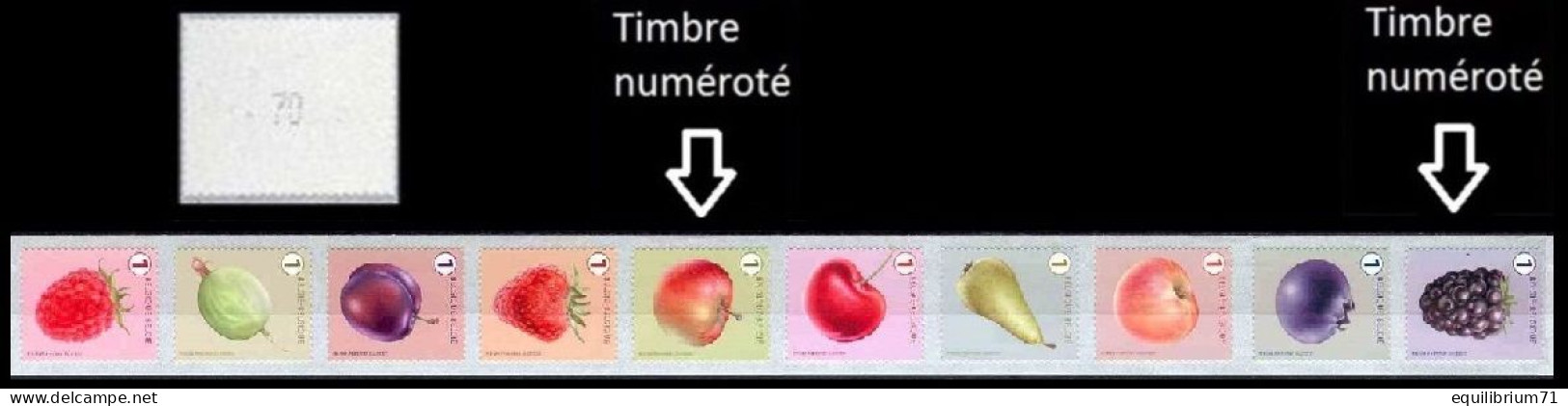 R157**(4800/4809) - Fruits/Fruiten (bande 6 De 10 Timb Dif, Num 2 Chiffres / Band 6 Van 10 Versch Zeg, 2 Cijfers Genum) - Coil Stamps