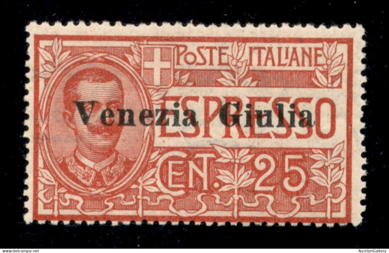 Occupazioni I Guerra Mondiale - Venezia Giulia - 1919 - 25 Cent (1) - Gomma Integra (625) - Andere & Zonder Classificatie