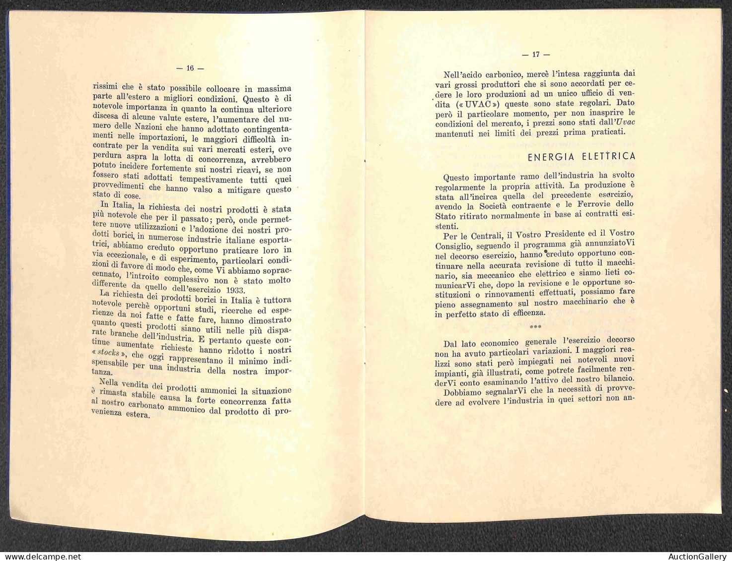 Prefilateliche&Documenti - Documenti - Società Boracifera Di Larderello - Bilancio 31 Dicembre 1934 - Opuscolo Copertina - Autres & Non Classés