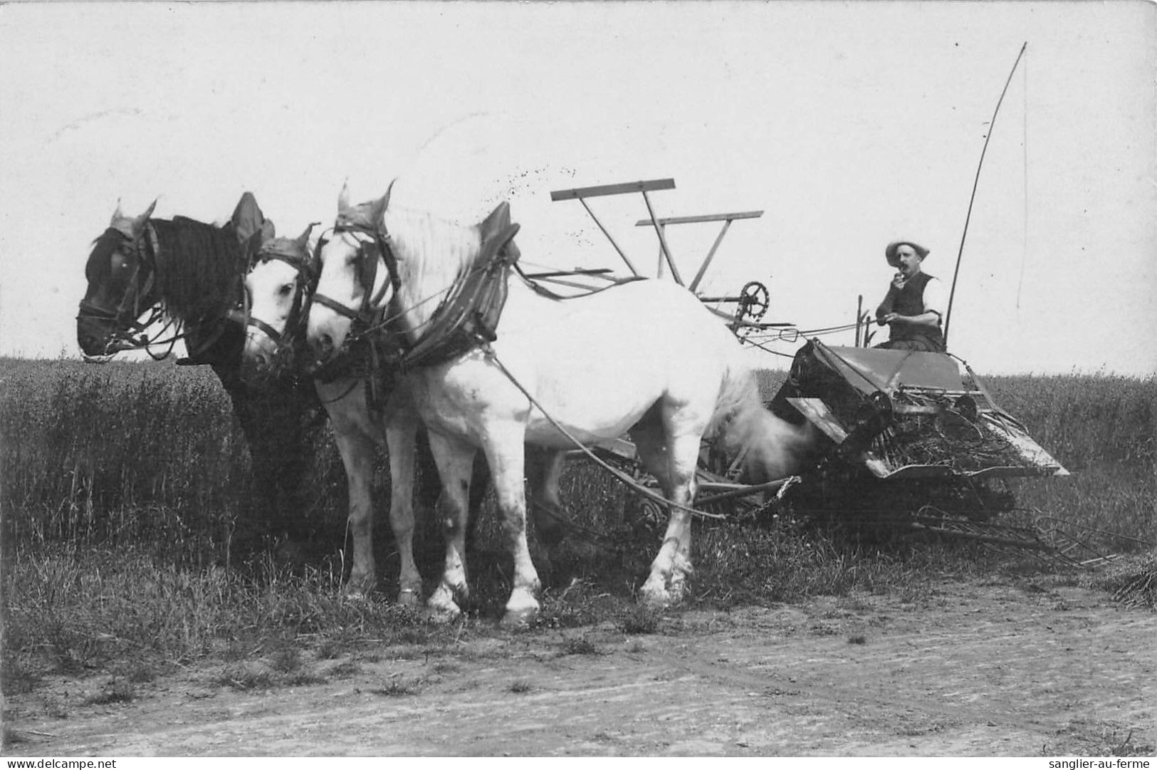 CPA 28 BEAUCE / UNE MOISSONNEUSE LIEUSE / CARTE PHOTO / SCENE D'AGRICULTURE - Altri & Non Classificati