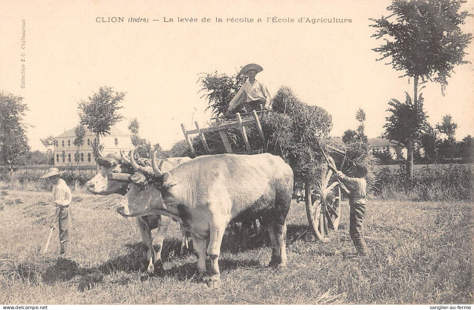 CPA 36 CLION / LA LEVEE DE LA RECOLTE A L'ECOLE D'AGRICULTURE - Other & Unclassified