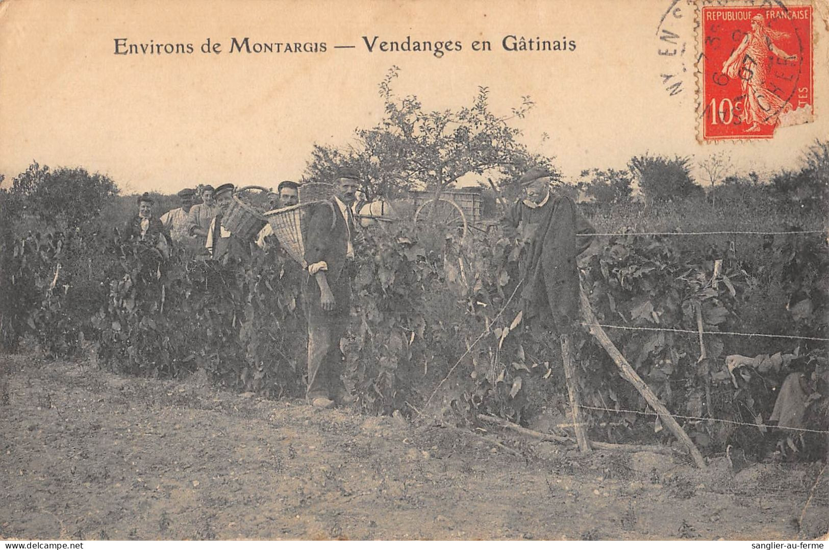 CPA 45 ENVIRONS DE MONTARGIS / VENDANGES EN GATINAIS - Autres & Non Classés