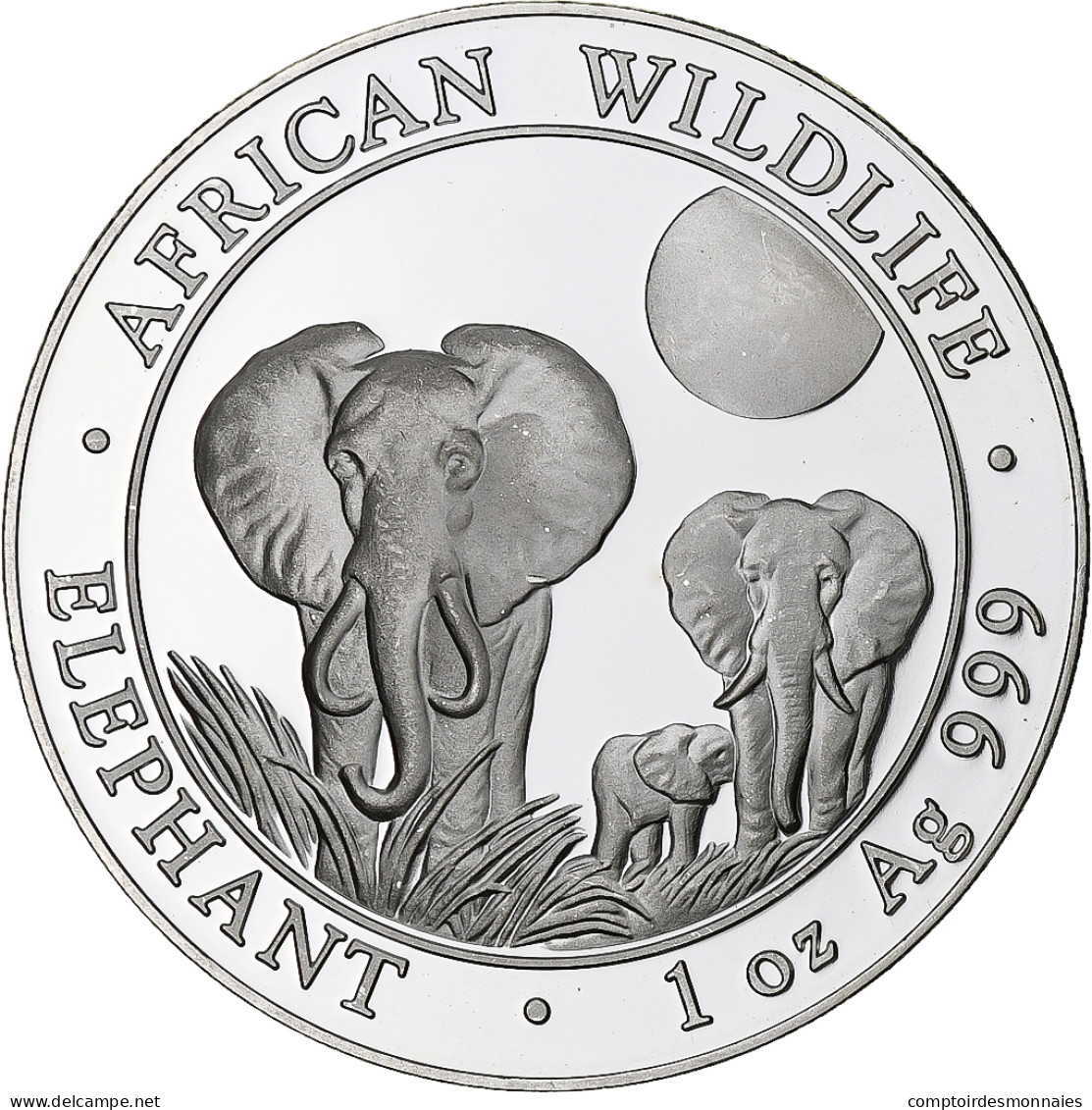 Somalie, 100 Shillings, Elephant, 2014, BE, Argent, FDC - Somalië