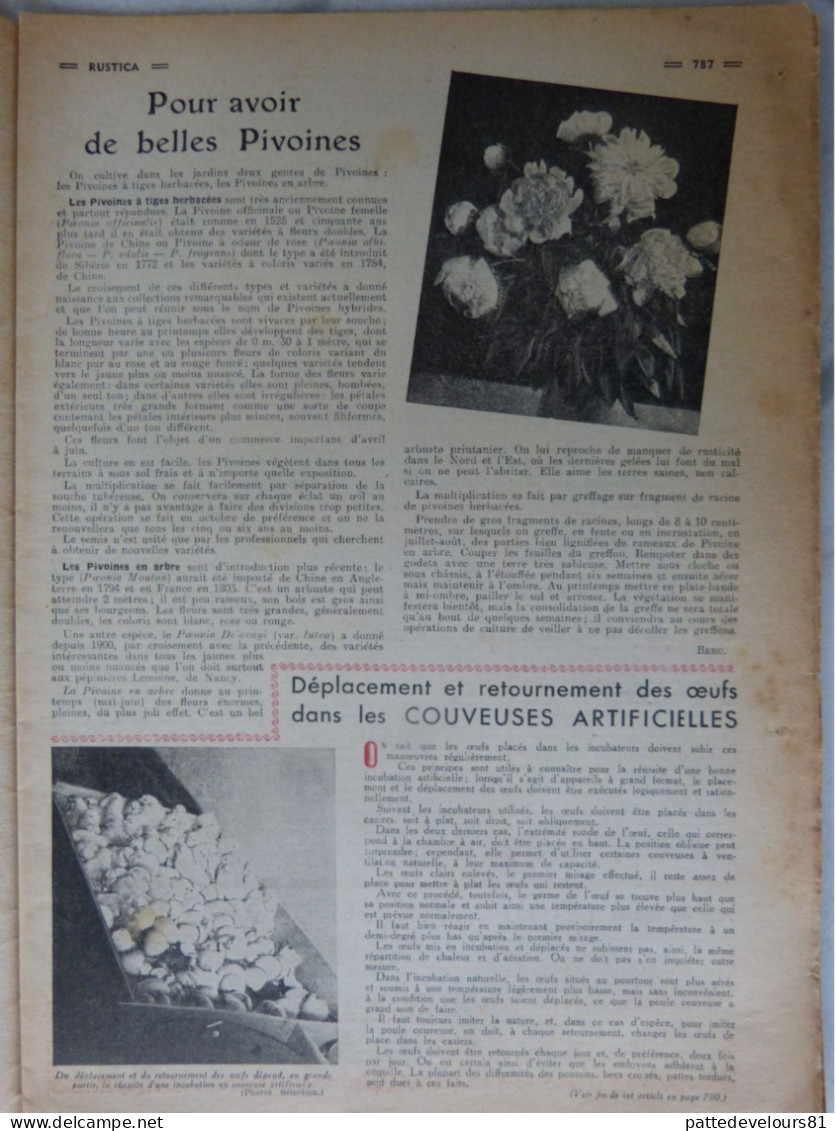 RUSTICA 1950 Pour Avoir De Belles Pivoines Chasse Faire Sécher La Poudre Garde-chasse Pêche Barbillons - Tuinieren