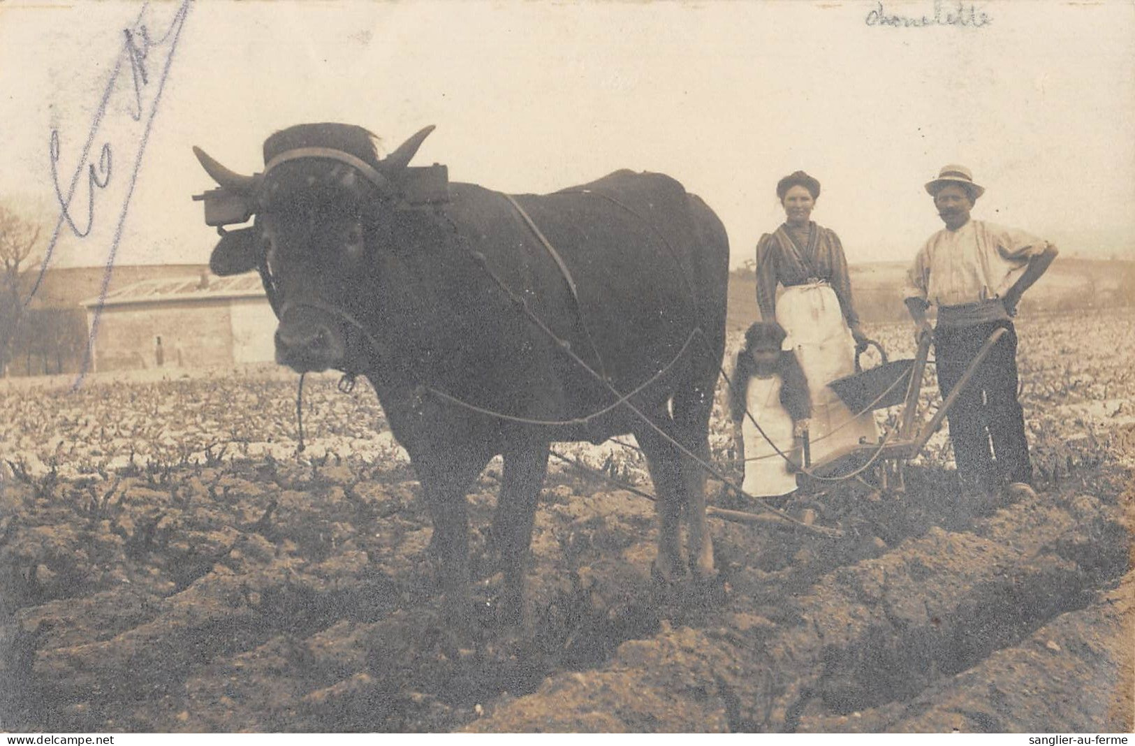 CPA 69 CHENELETTE / CARTE PHOTO / SCENE DE LABOUR / AGRICULTURE - Autres & Non Classés