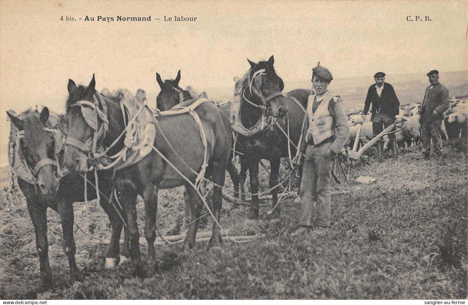 CPA 76 AU PAYS NORMAND / LE LABOUR - Sonstige & Ohne Zuordnung