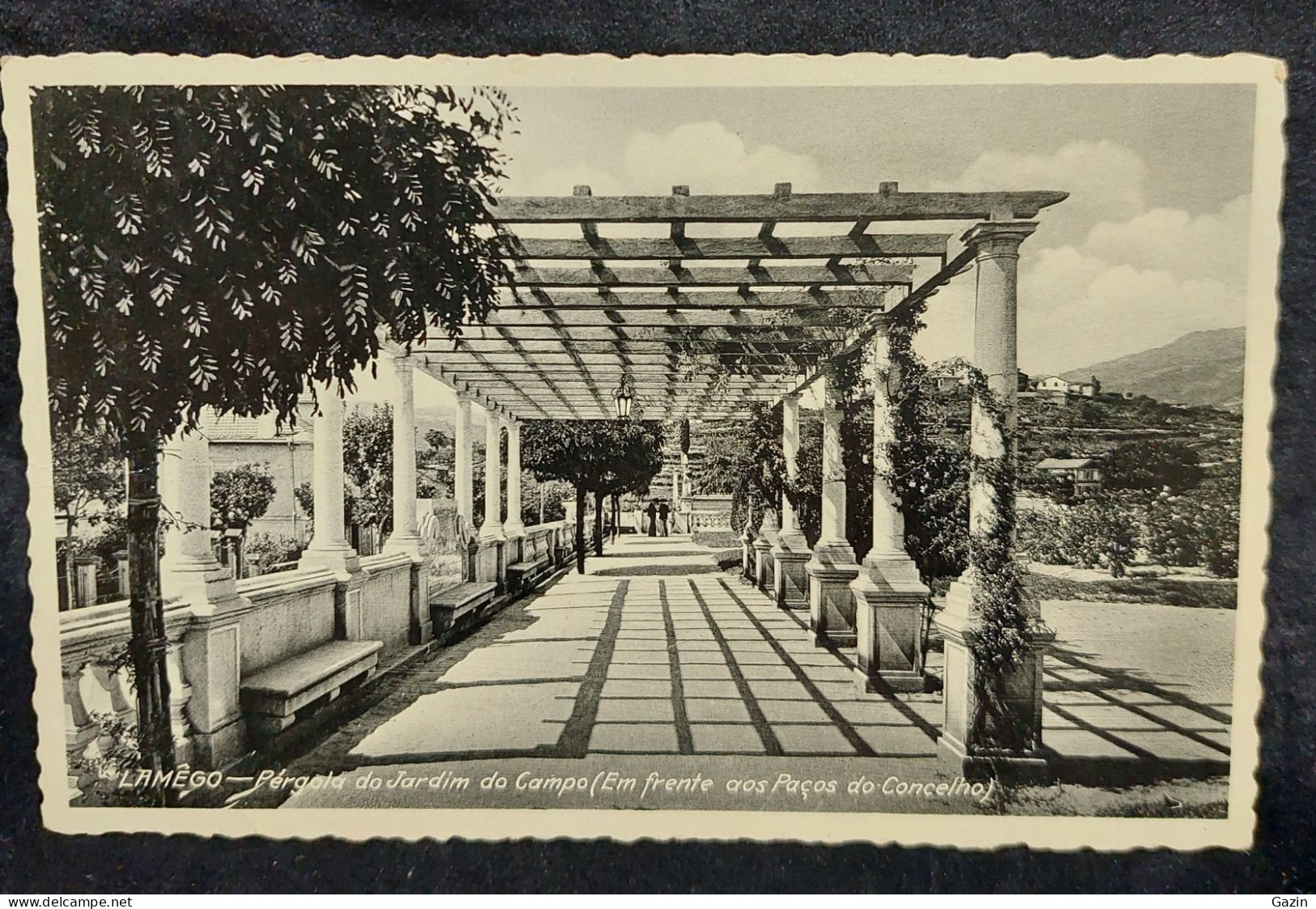 C6 /1 - Photo Postal * Lamêgo * Pérgola Do Jardim Do Campo * Viseu * Portugal - Viseu