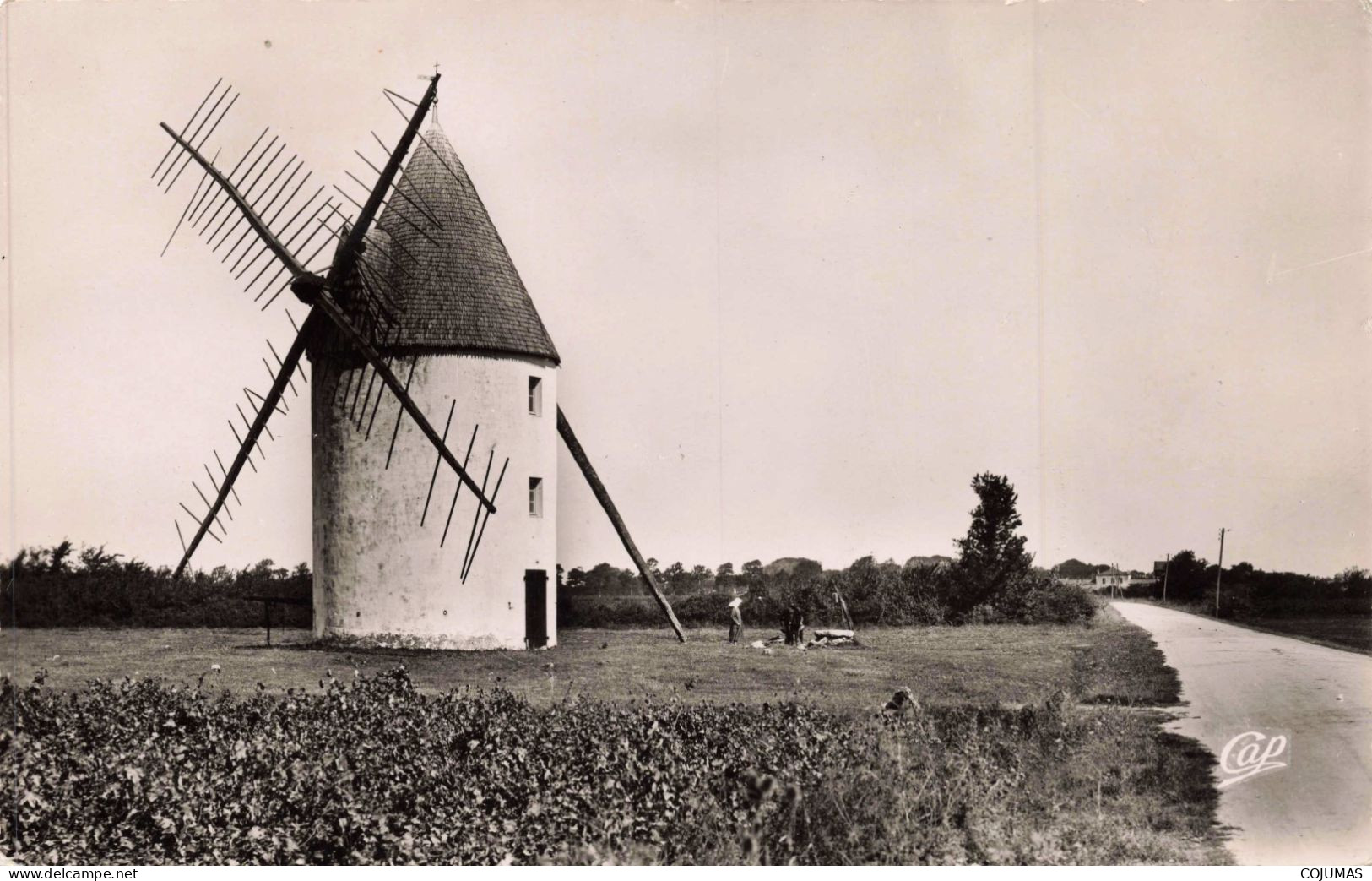 17 - ST PIERRE D'OLERON _S24260_ Vieux Moulin Route De La Cotinière - CPSM 14x9 Cm - Saint-Pierre-d'Oleron