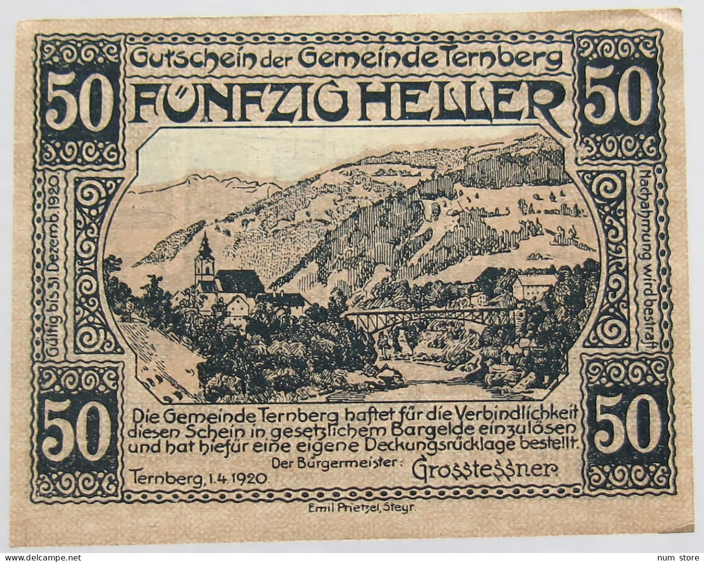 AUSTRIA NOTGELD TERNBERG 50 HELLER #alb012 0285 - Autriche