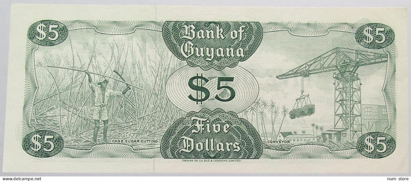 GUYANA 5 DOLLARS 1966 #alb013 0299 - Guyana