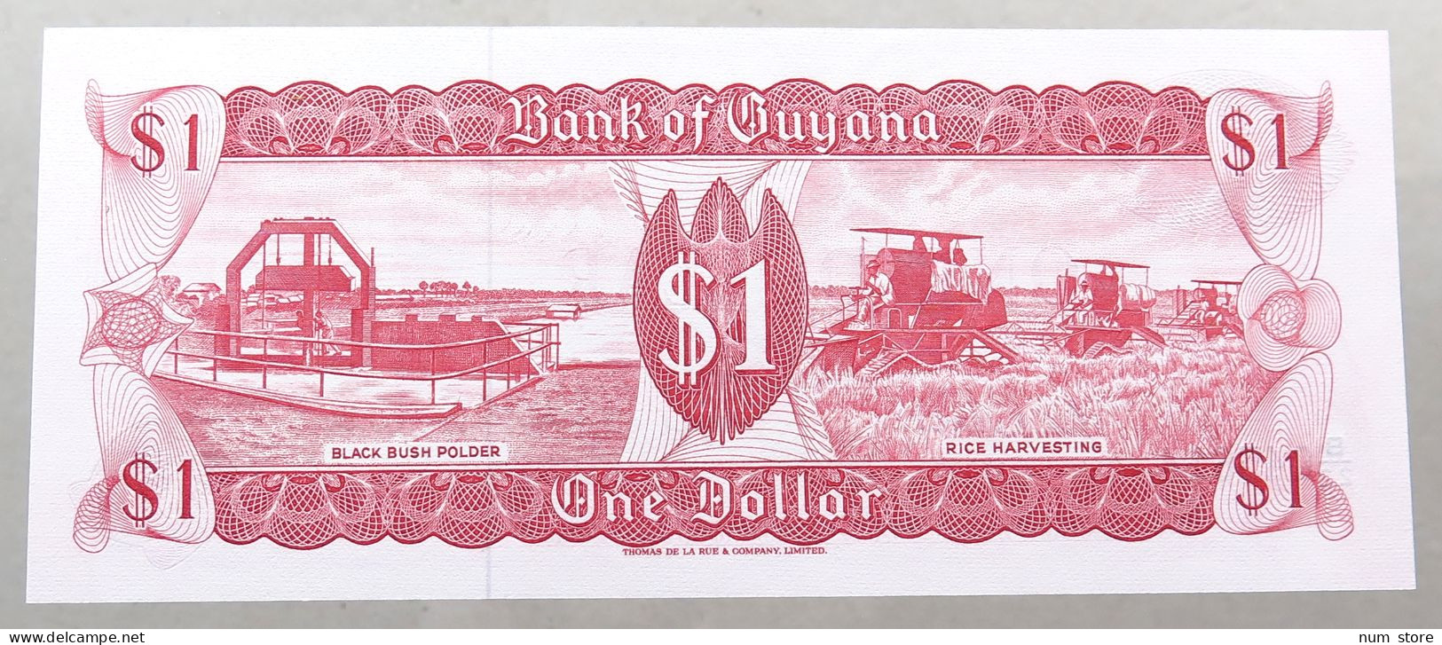 GUYANA 1 DOLLAR #alb050 0451 - Guyana