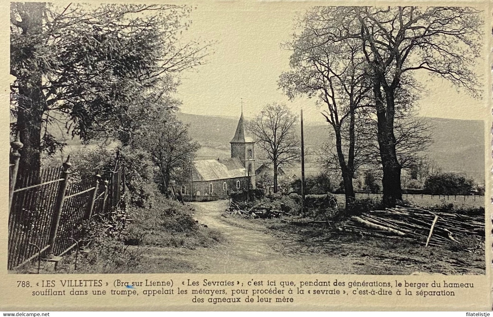 Les Villettes Panorama - Lierneux