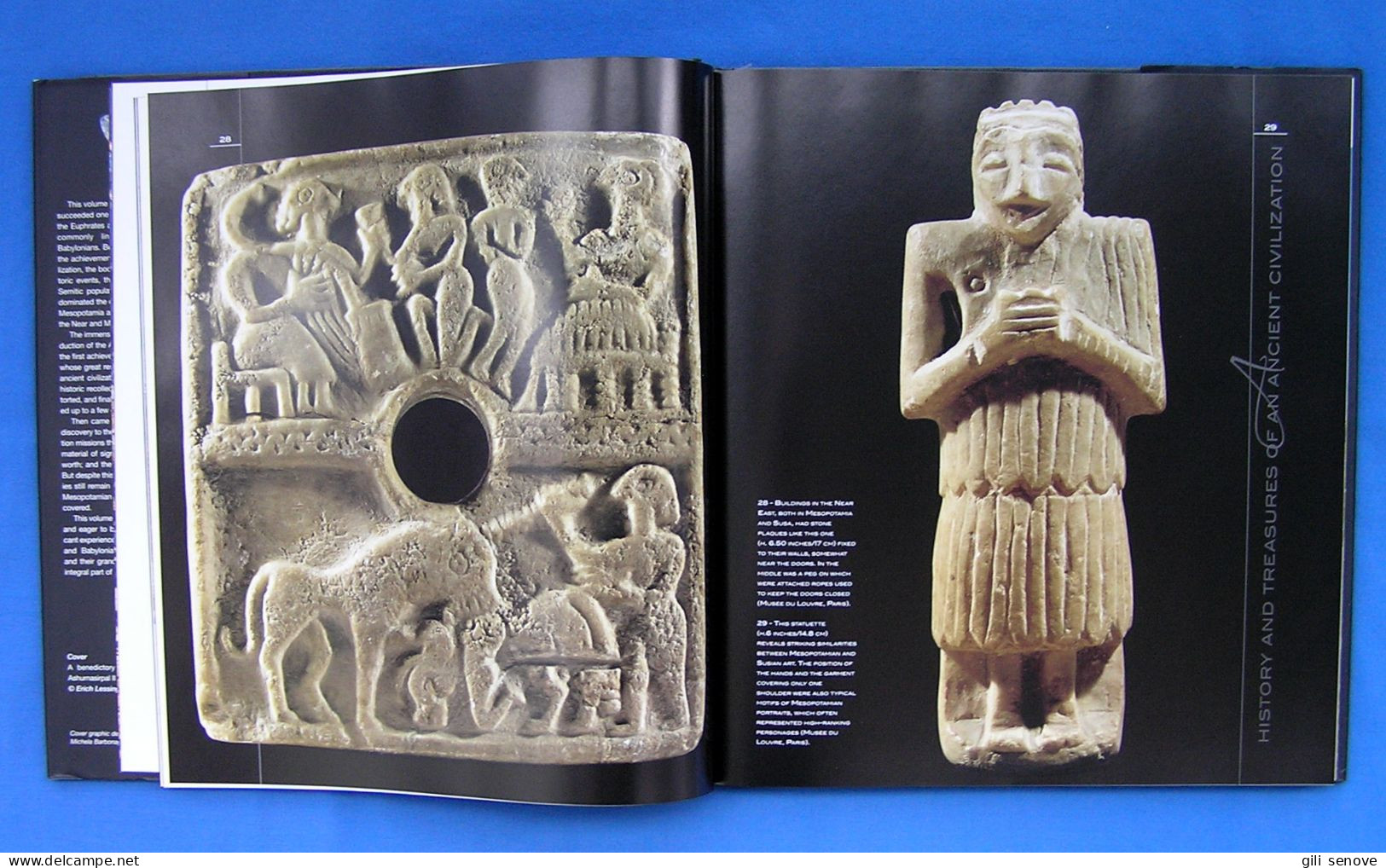 The Assyrians And The Babylonians: History And Treasures Of An Ancient Civilization 2007 - Bellas Artes