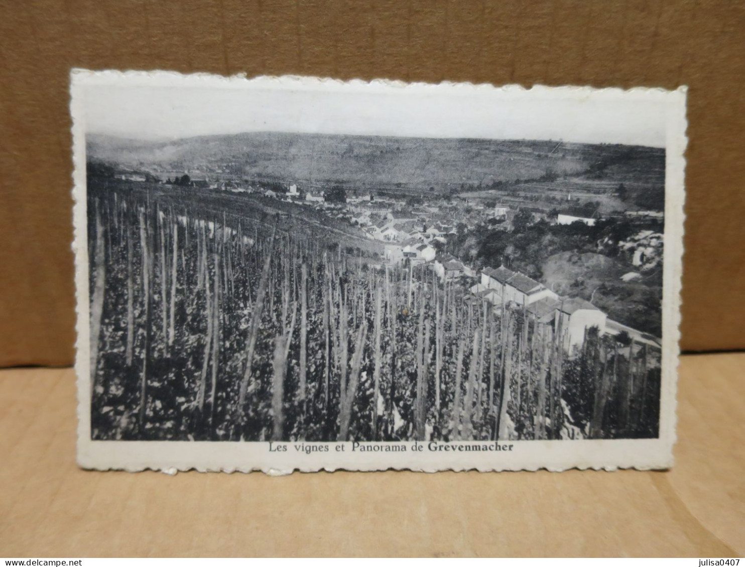 GREVENMACHER (Luxembourg) Vue De La Ville Et Des Vignes - Andere & Zonder Classificatie