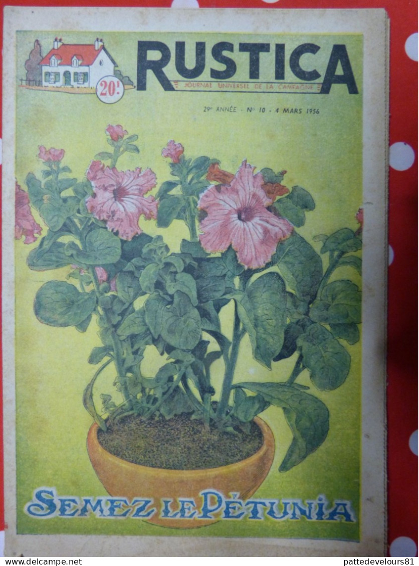 RUSTICA 1956 Pétunia Coopérative Agricole Lauragais-Audois Laiterie Suédoise Pêche Etang Truite - Jardinería