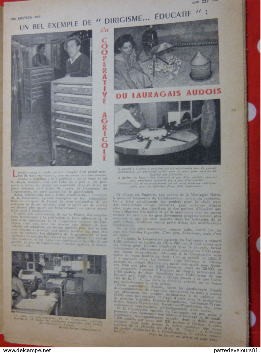 RUSTICA 1956 Pétunia Coopérative Agricole Lauragais-Audois Laiterie Suédoise Pêche Etang Truite - Garten