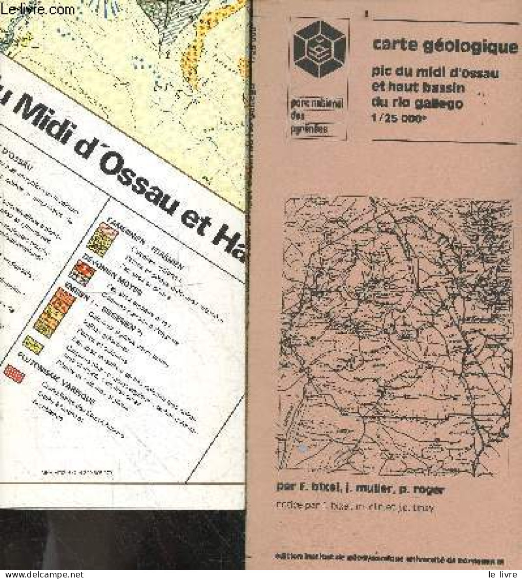 Carte Geologique - Pic Du Midi D'ossau Et Haut Bassin Du Rio Gallego, 1/25 000e - Inclus Une Carte Couleur - BIXEL F.- C - Midi-Pyrénées