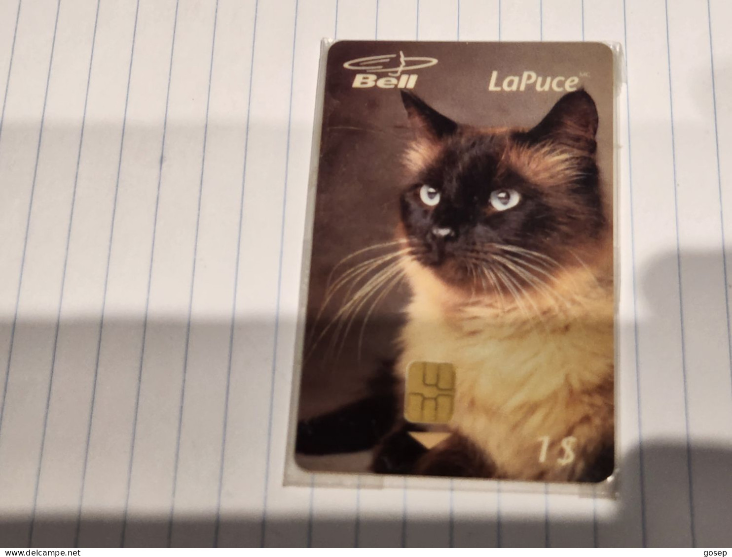 CANADA-(B10116)-Siamese Cat-(21)-(1$)-(8/2008)-(tirage-2.050)-mint Card+2card Prepiad Free - Canada